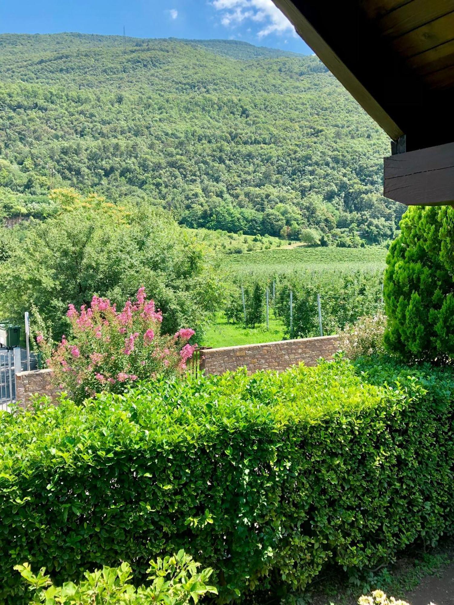 Casa Sally San Michele all'Adige Exterior photo
